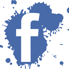 FB logo Splash